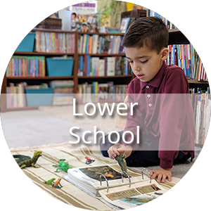 The text "Lower School" is displayed in front of an image of a boy with a long sleeve burgundy polo shirt sits on the floor in front of a Montessori style rug used as a workspace. He is reading a pages with images of animals. Placed around the rug are plastic models of animals. Behind him are bookshelves filled with books.