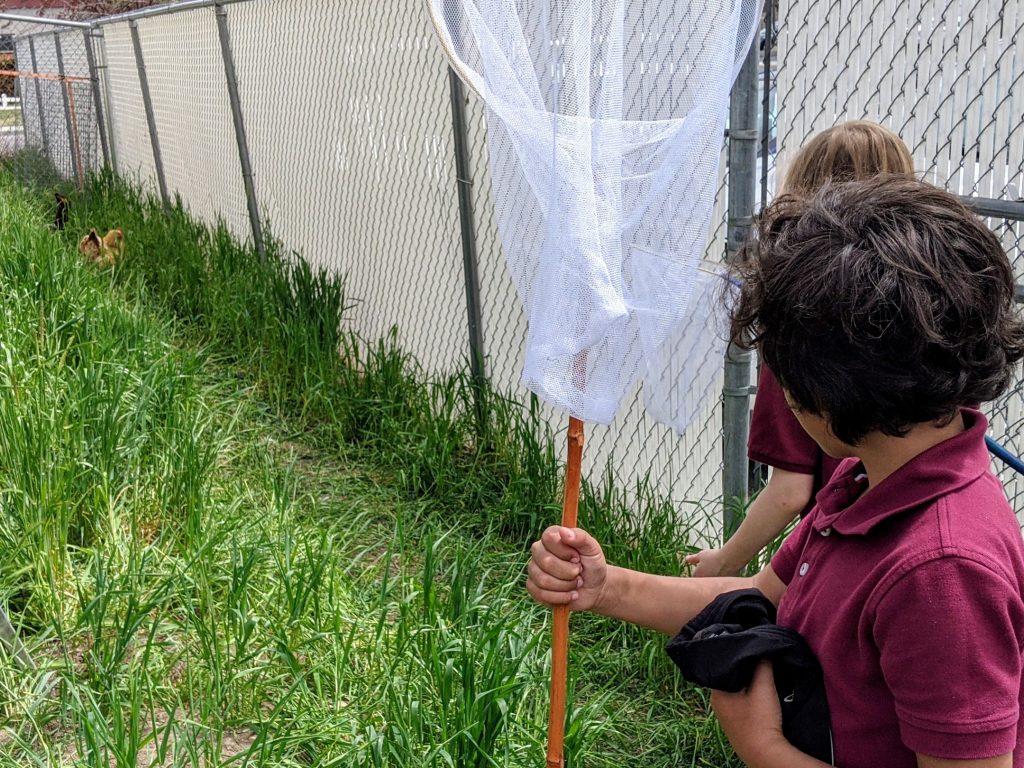 Students with butterfly nets