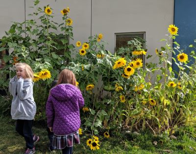 Two girls exploring a sunflower garden