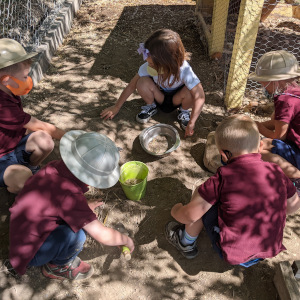 Preschool students digging in the dirt